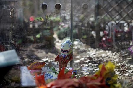 A doll is left at the tomb of pet dog Logan at Baifu pet cemetery ahead of the Qingming Festival on the out skirts of Beijing, China March 26, 2016. REUTERS/Jason Lee