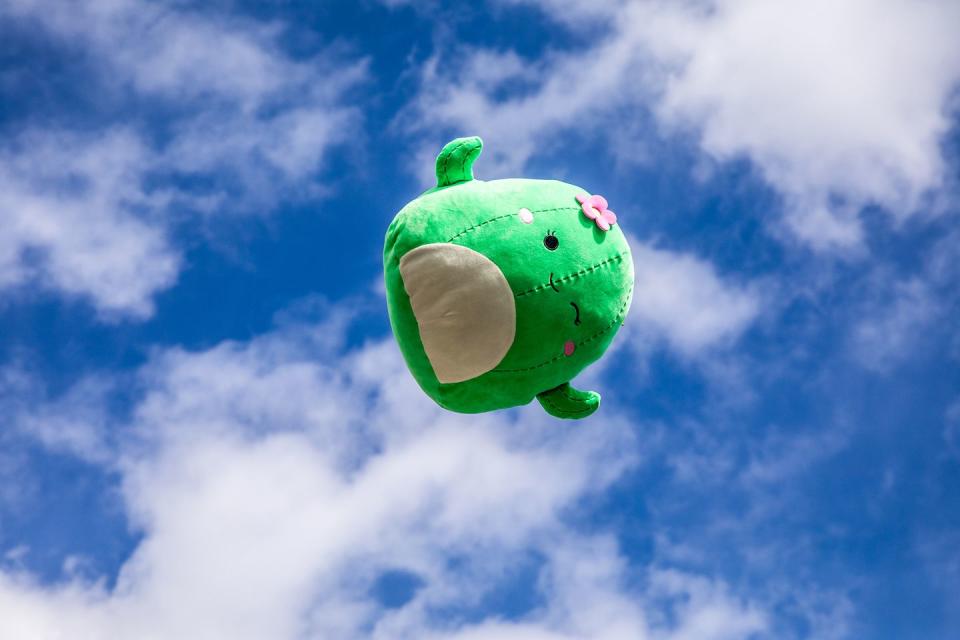 cactus squishmallow against sky