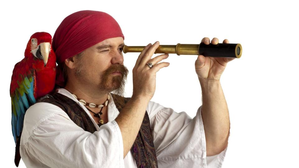 Pirate with parrot searching using spyglass with white background