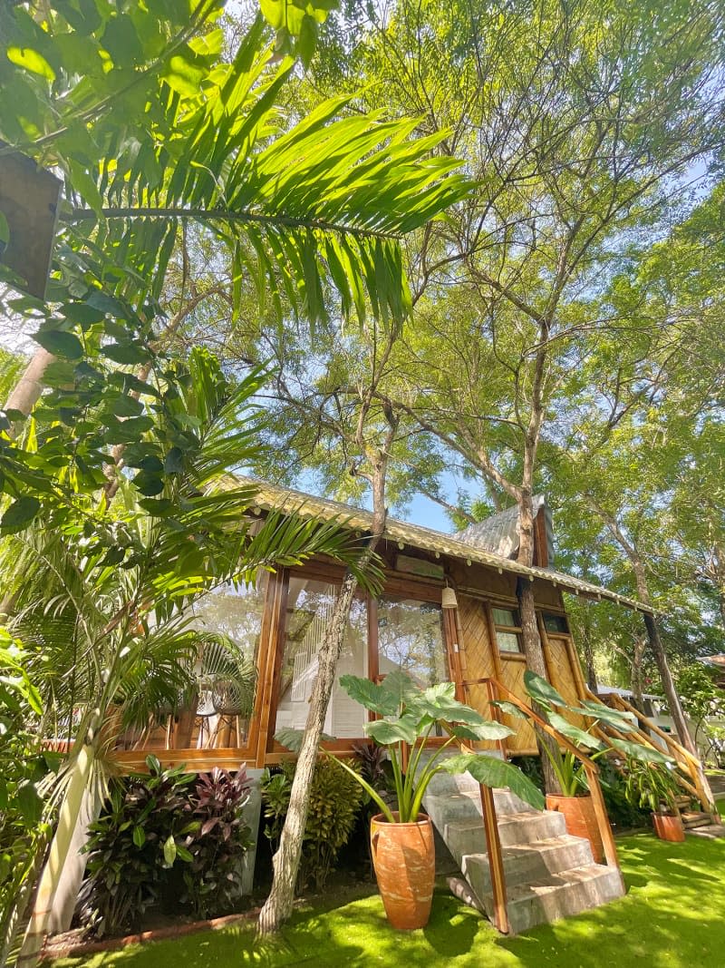 Exterior of wood and bamboo treehouse cabin.