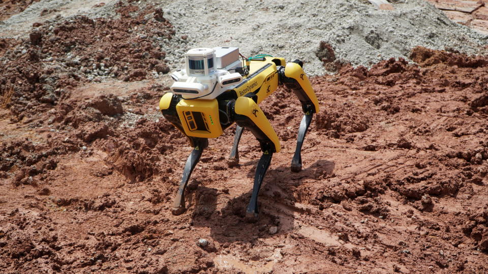 <p>En la imagen, un robot de cuatro patas llamado Spot y fabricado por la empresa estadounidense Boston Dynamics revisa unos terrenos de Singapur en los que se están realizando unas obras por parte de la constructora Gammon. (Foto: Travis Teo / Reuters).</p> 
