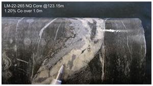 High-grade cobalt intercept from hole LM-22-265.