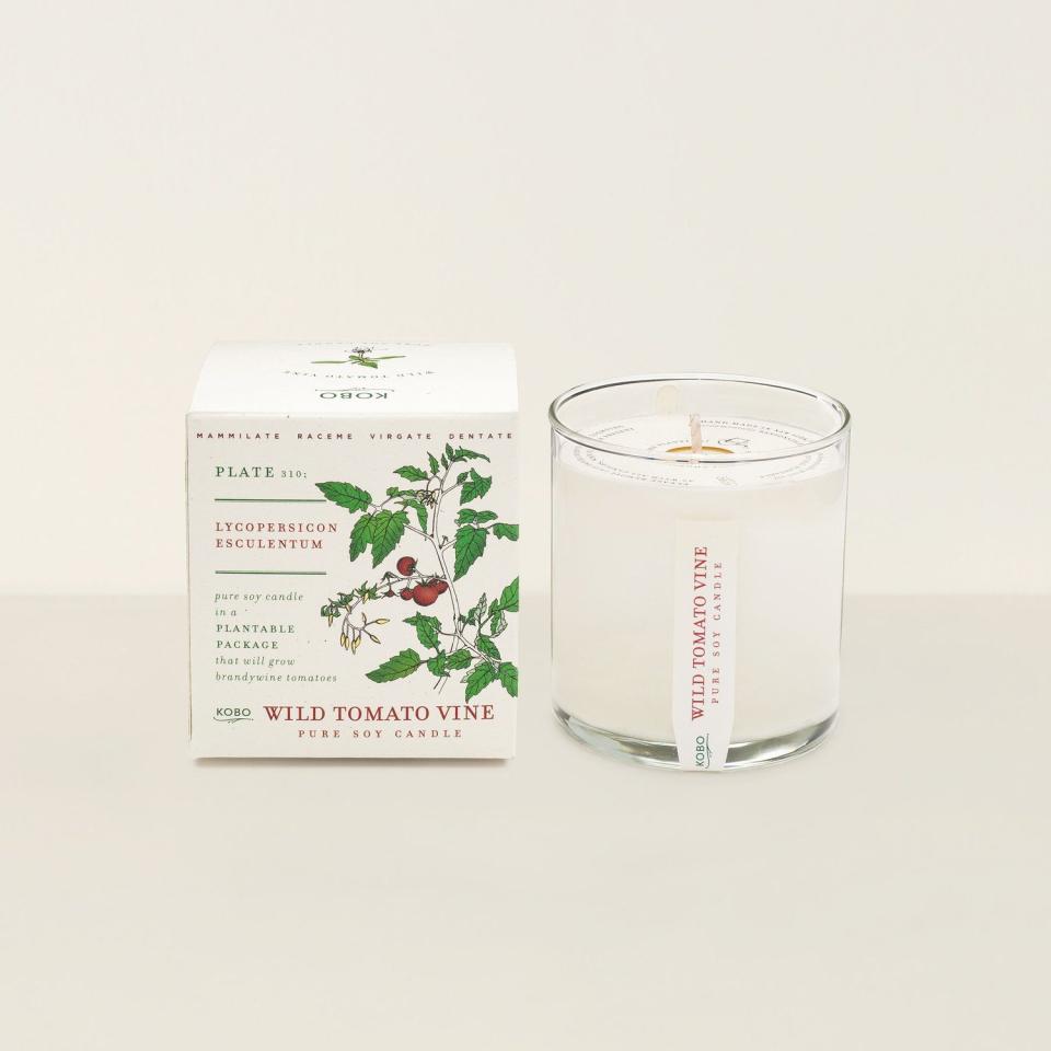 36) Wild Tomato Vine Candle