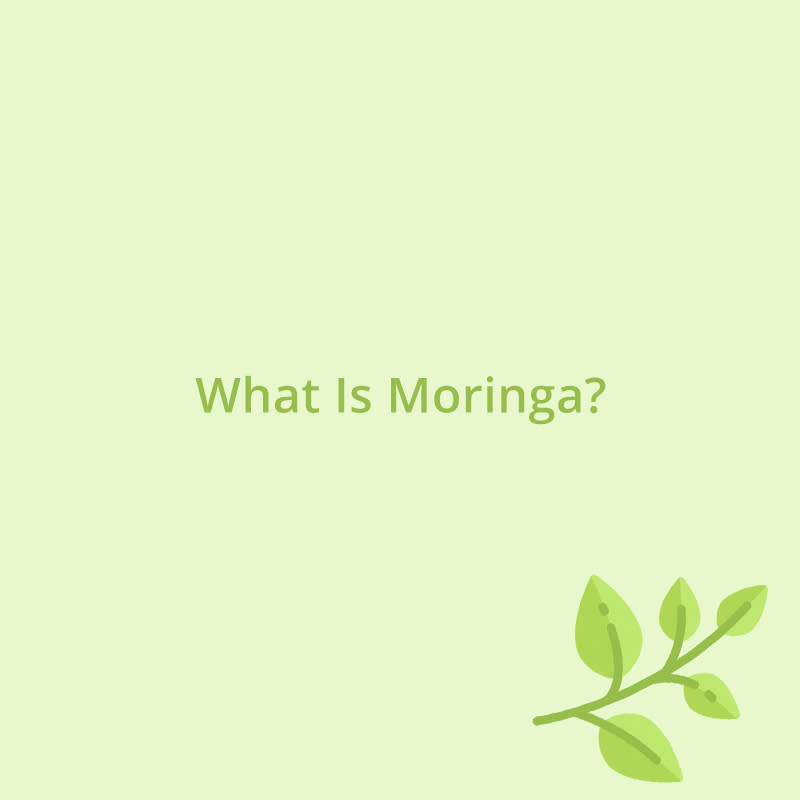 <p><em>Moringa oleifera </em>(moringa for short) is a plant that's been used for centuries as alternative medicine. It's native to India, Pakistan and Nepal. The leaves are the most common way to reap the benefits of the plant, though other parts, like the flowers and seeds, can be consumed. "Always consult with your doctor to ensure it fits into your healthcare regimen, and make sure to start small," advises Vanessa. "Also, always see how your body adjusts to new supplements like <span>moringa</span>."</p>