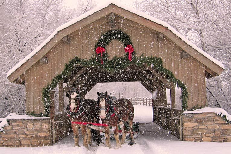 Colorado: Covered Bridge Ranch, Montrose