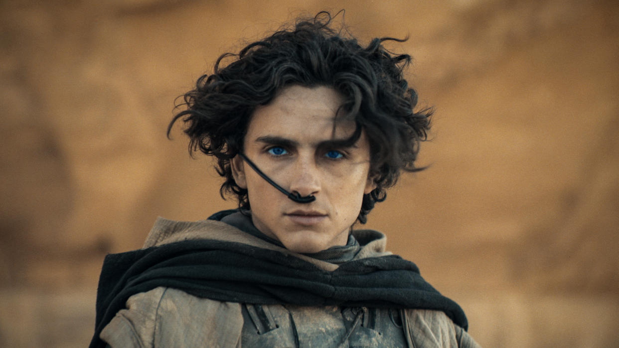 Timothée Chalamet as Paul Atreides in sci-fi sequel Dune 2. (Warner Bros Pictures)