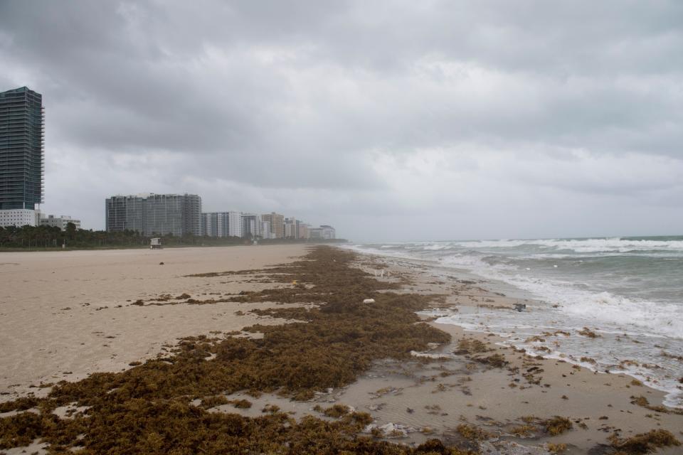 Winds and rain begin to hit the beach as outer bands of Hurricane Irma arrive in Miami Beach, Florida, September 9, 2017. Hurricane Irma weakened slightly to a Category 4 storm early Saturday, according to the US National Hurricane Center, after making landfall hours earlier in Cuba with maximum-strength Category 5 winds. / AFP PHOTO / SAUL LOEB        (Photo credit should read SAUL LOEB/AFP/Getty Images)