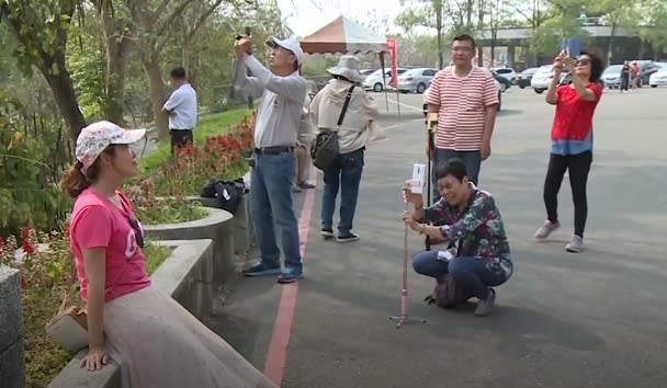 烏山頭水庫香榭大道吸引大批遊客前來拍照打卡。（圖／東森新聞）