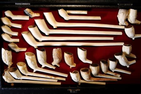 Pipes dating from 1580 to 1900 which have been excavated from the River Thames by mudlark Jason Sandy are displayed at his home in London, Britain June 01, 2016. REUTERS/Neil Hall