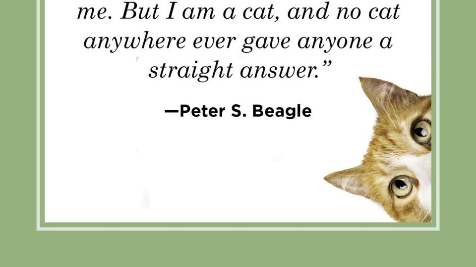 cat quote by peter s beagle