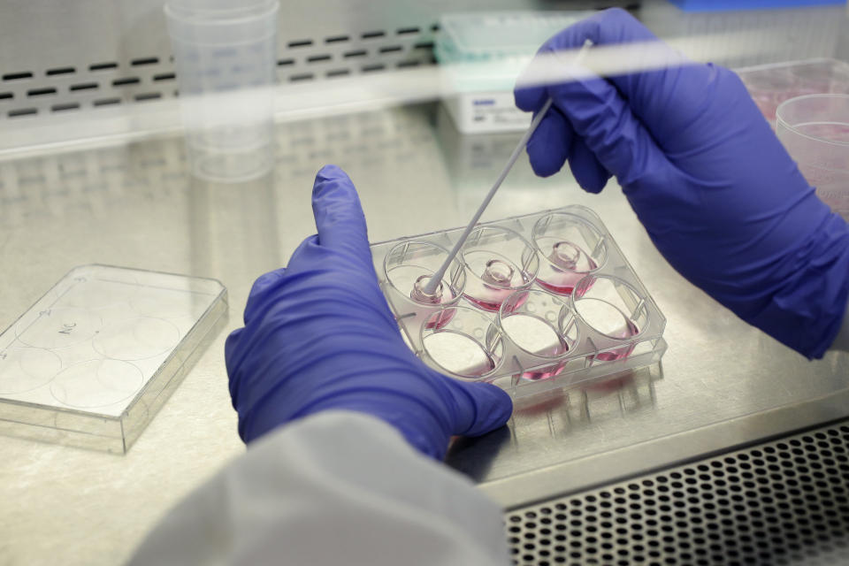 In this Wednesday, Jan. 15, 2020, photo scientist and study director Jennifer Molignano uses a swab to dry living human skin tissues after washing them with saline solution to remove a commercially available skin care product, during a demonstration of an experiment created to test the effects of skin care products on human skin tissue, in a lab at MatTek Corporation, in Ashland, Mass. (AP Photo/Steven Senne)