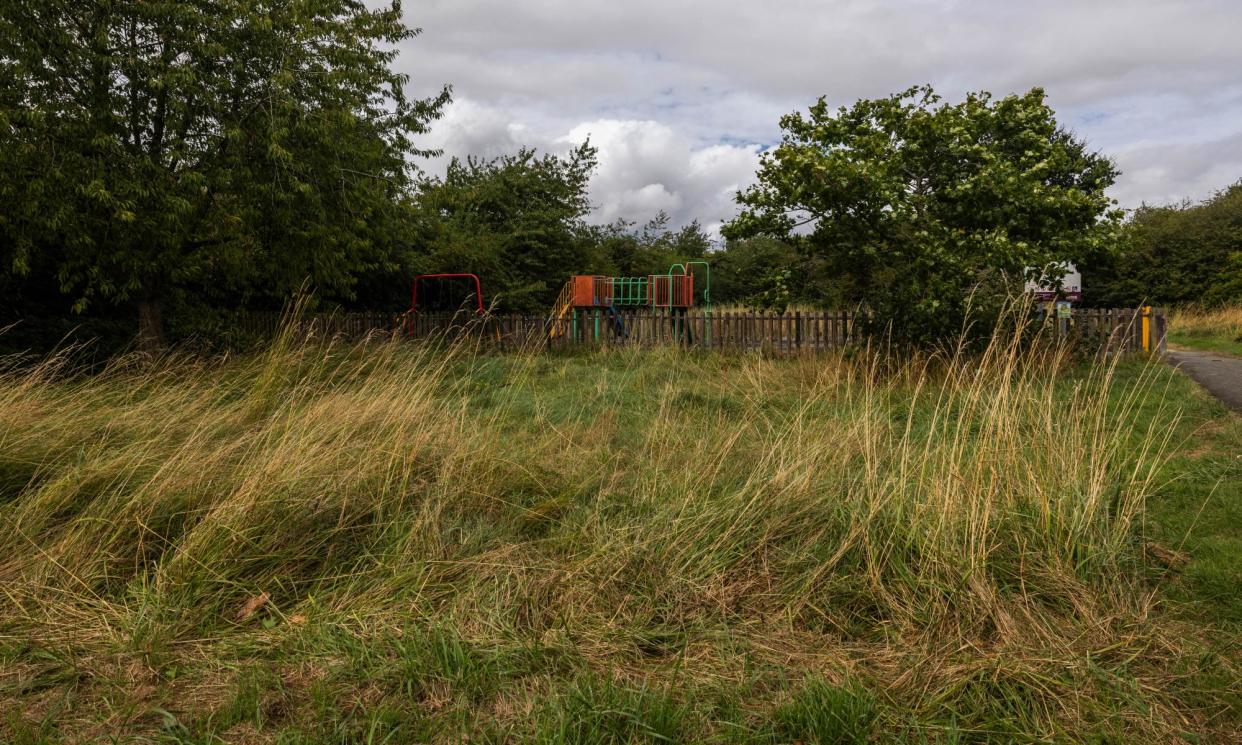 <span>A rewilding project in Ilkeston, Derbyshire, involves letting communal spaces overgrow, but locals are objecting.</span><span>Photograph: Fabio De Paola/The Guardian</span>