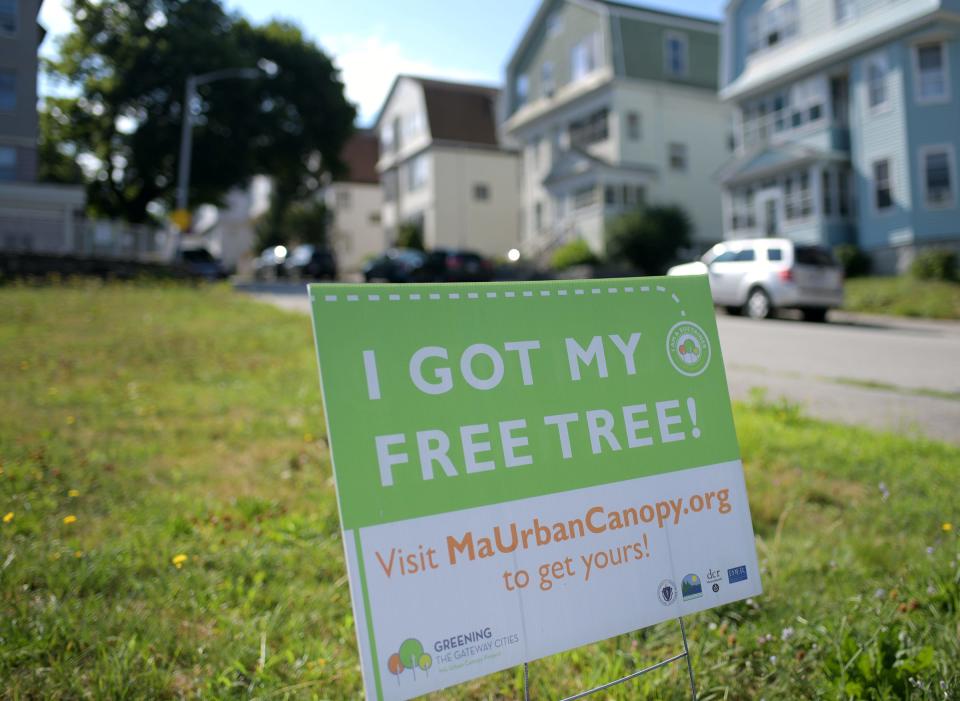 A sign at the corner of Euclid and Montrose streets advertises a state program for free trees Aug. 9, 2022.