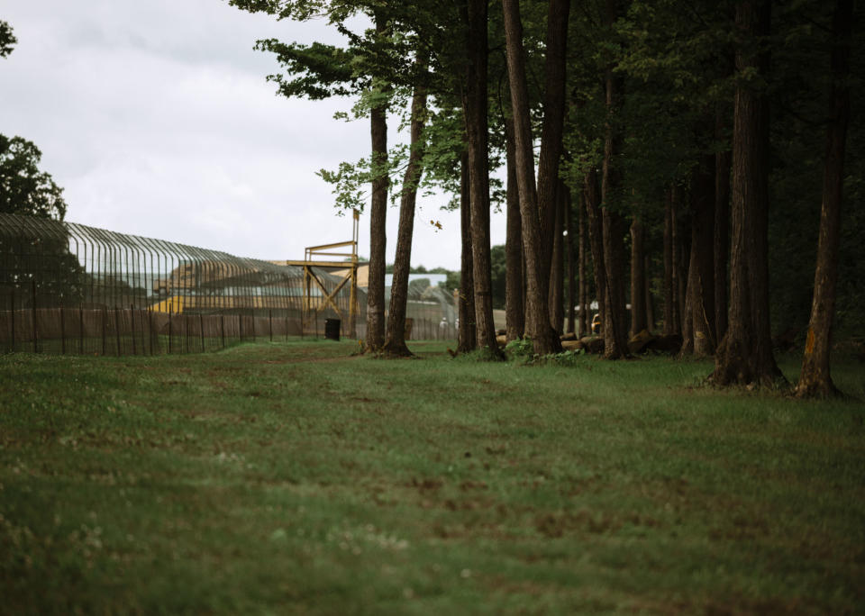 <p>Parts of Road America near Kettle Bottoms and the kink feel like nature trails, and the walk along the Moraine Sweep between turns 4 and 5 (pictured) feels like you're in a secluded forest.</p>