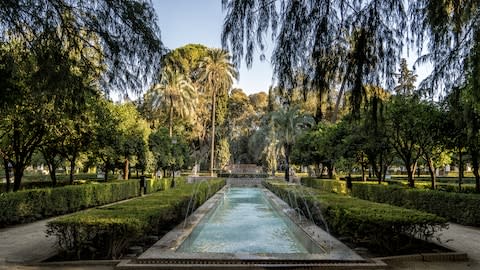 Parque Maria Luisa, Seville - Credit: This content is subject to copyright./nick1803