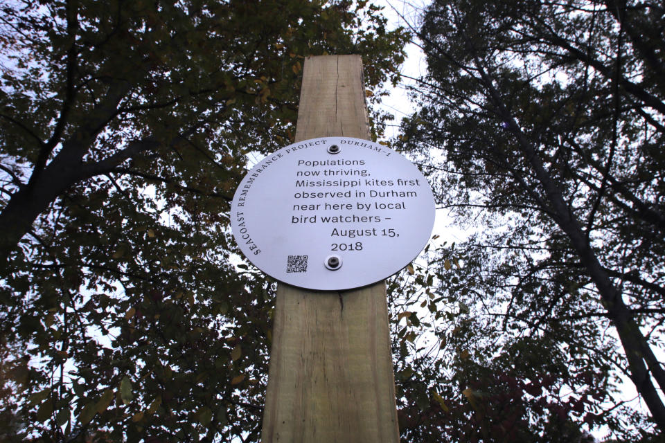 A sign, part of a public design installation by artist Thomas Starr, is displayed under oak trees along the banks of Mill Pond in Durham, N.H., Wednesday, Oct. 16, 2019. Starr, a graphic and information design professor from Boston's Northeastern University, created the project to address possible effects of climate change. (AP Photo/Charles Krupa)