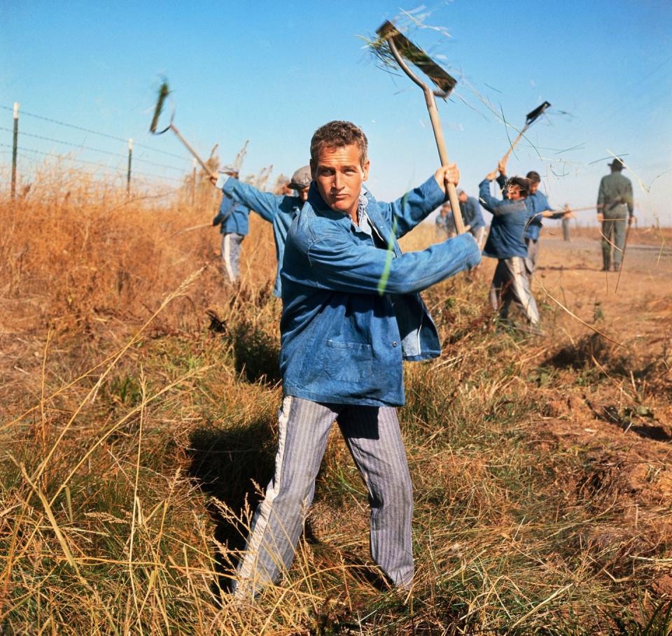 12) Cool Hand Luke