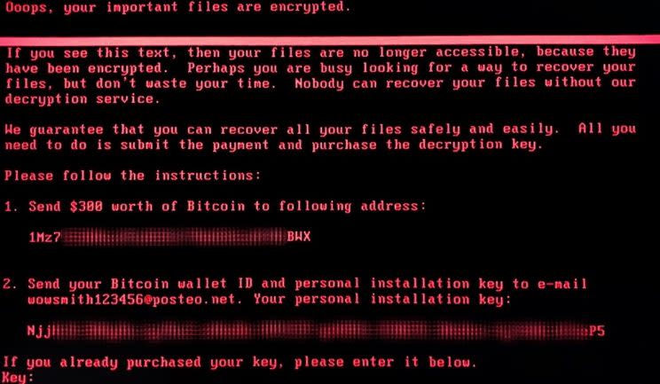 A screenshot of the Petya ransomware.