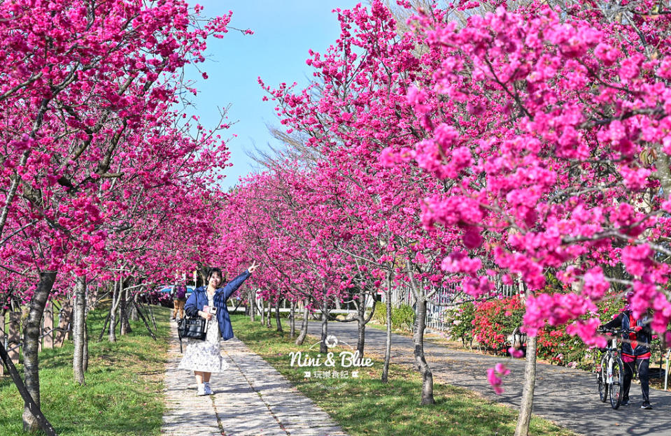 台中｜中科崴立櫻花公園