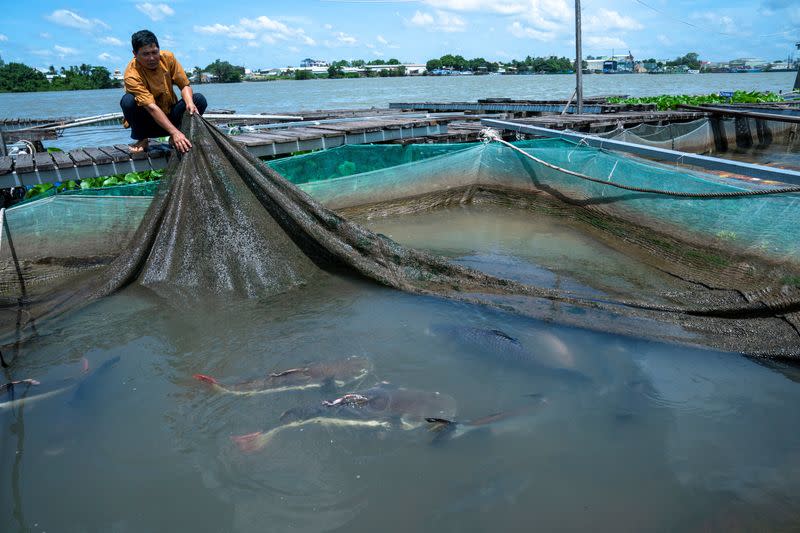 Starving the Mekong: Lives are remade as dams built by China upstream deprive Mekong River Delta of precious sediment