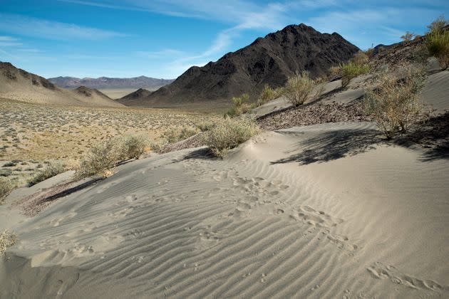 Fissure Ridge, located east of the Walker River Indian Reservation, is one of many mountains and mountain ranges that area tribes are looking to protect with a new monument designation. (Photo: Kirk Peterson)