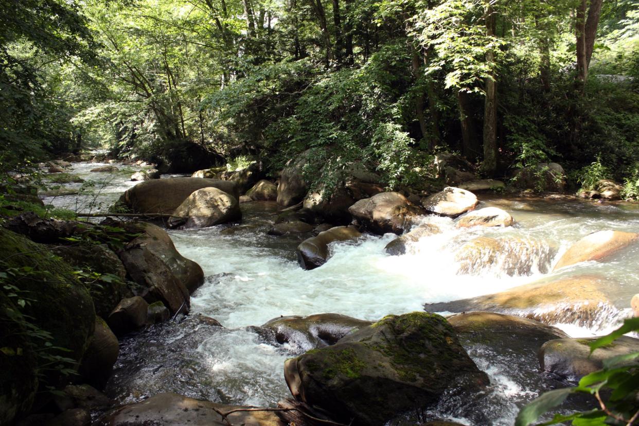 Deckers Creek Trail, West Virginia