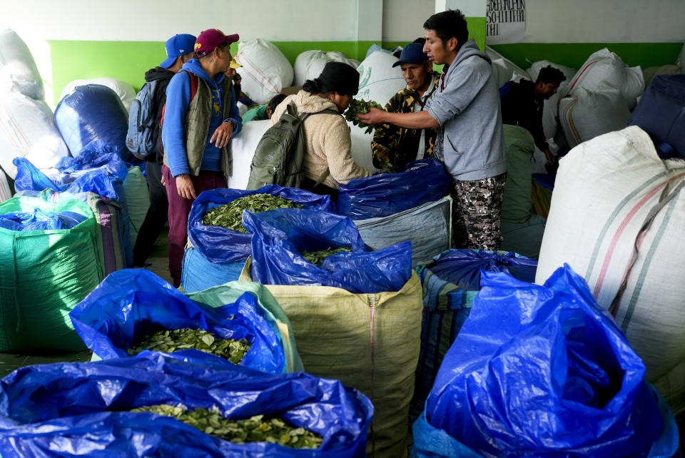 Vendedores de hoja de coca en un mercado en La Paz, Bolivia, el jueves 18 de abril de 2024. De todos los derivados de la planta, la infusión con hoja de coca es la más popular en Bolivia y sirve para mitigar el mal de altura. Se ofrece incluso a los turistas, como ocurre también en Perú o Colombia. (AP Foto/Juan Karita)