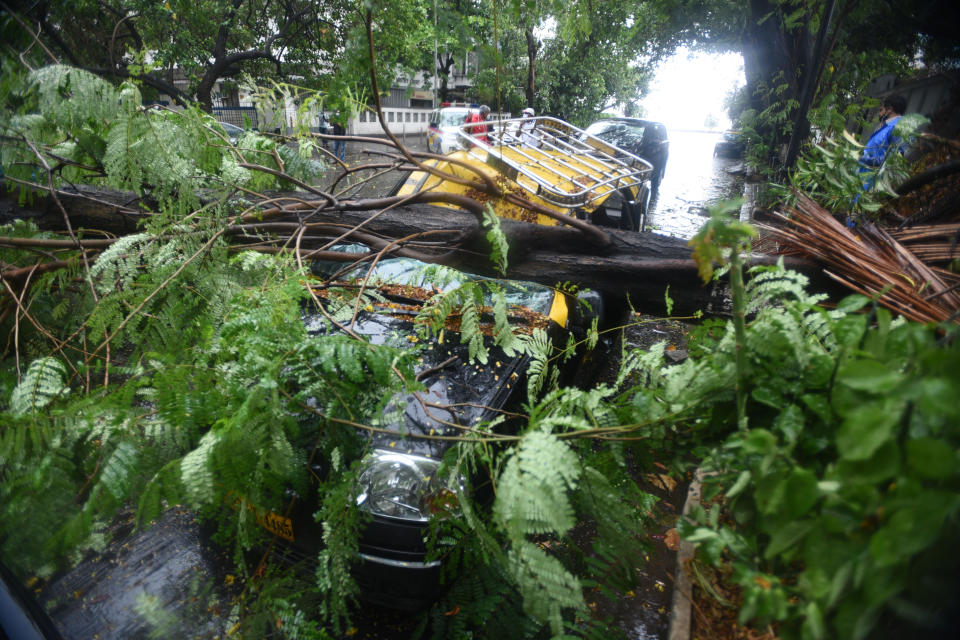 MUMBAI, INDIA - JUNE 03: A view of a tree fell on vehicles due to strong winds triggered by Cyclone Nisarga in Mumbai, India on June 03, 2020. A storm in the Arabian Sea off India's west coast intensified into a severe cyclone on Wednesday, gathering speed as it barreled toward India's financial capital of Mumbai. Nisarga was forecast to drop heavy rains and winds gusting up to 120 kilometers (75 miles) per hour when it makes landfall Wednesday afternoon as a category 4 cyclone near the coastal city of Alibagh, about 98 kilometers (60 miles) south of Mumbai, India's Meteorological Department said. (Photo by Imtiyaz Shaikh/Anadolu Agency via Getty Images)