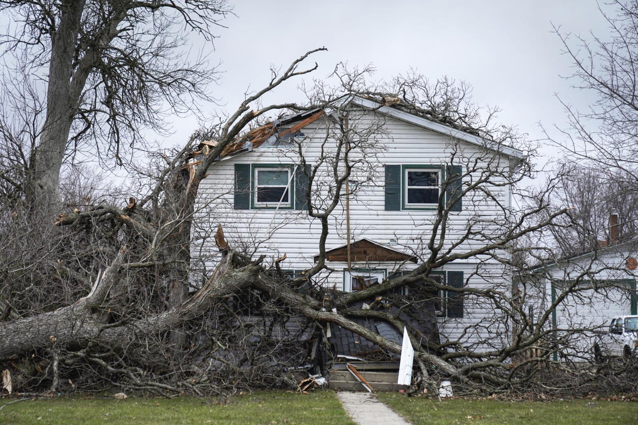 A house is damaged by fallen trees during a tornado in Belvidere, Ill. (Erin Hooley / AP)