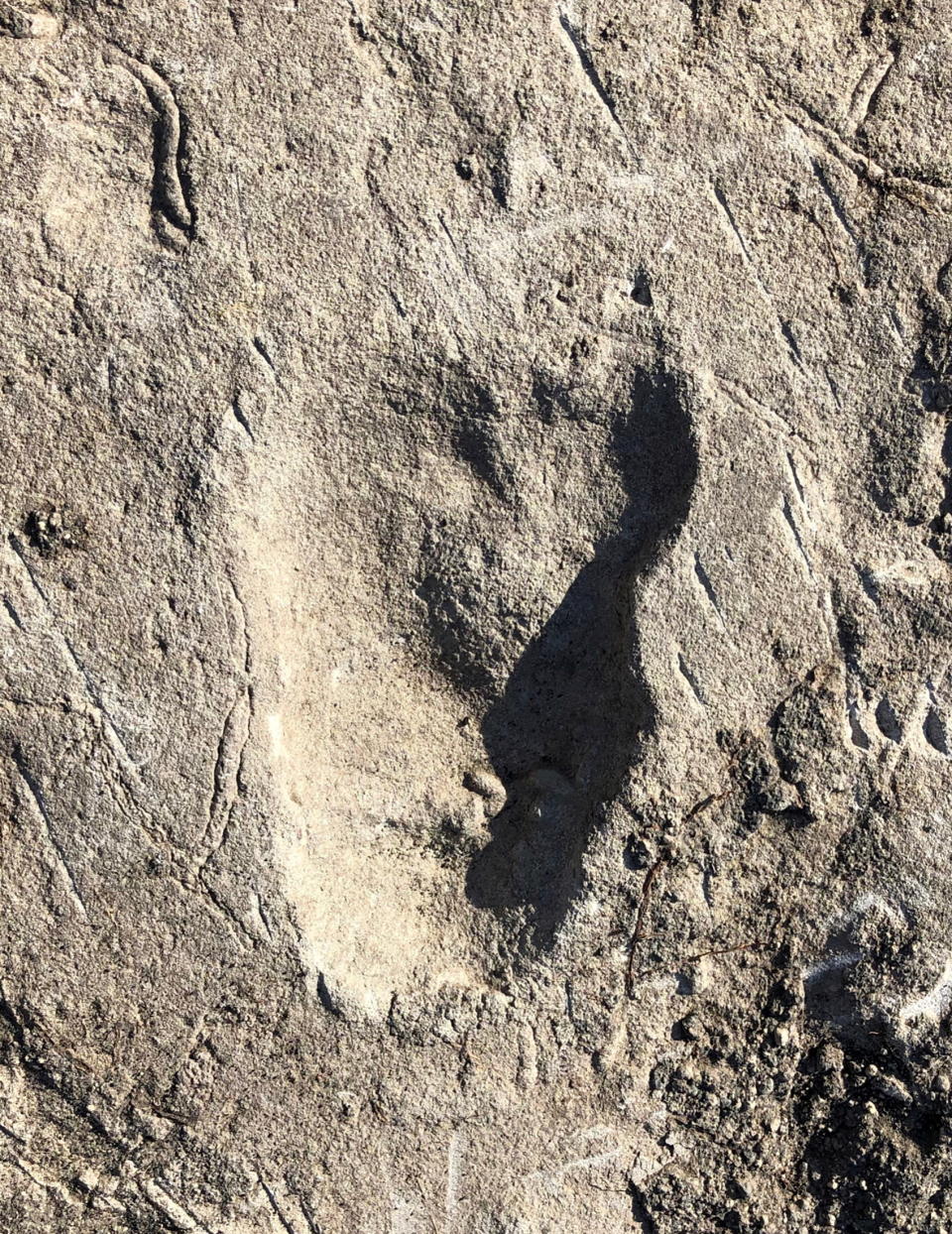 A fossilized footprint dating from 3.66 million years ago from a site called Laetoli in northern Tanzania â€“ attributed in a new study in the journal Nature to a species in the human evolutionary lineage â€“ is seen in this handout photograph taken on June 21, 2019. Picture taken June 21, 2019.   Jeremy DeSilva/Handout via REUTERS NO RESALES. NO ARCHIVES. THIS IMAGE HAS BEEN SUPPLIED BY A THIRD PARTY.