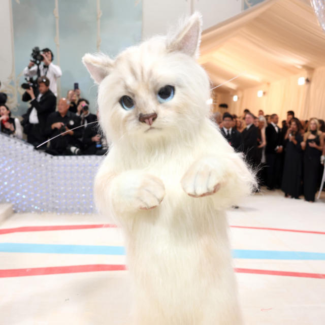 Jared Leto dresses up as Karl Lagerfeld's cat Choupette at 2023 Met Gala