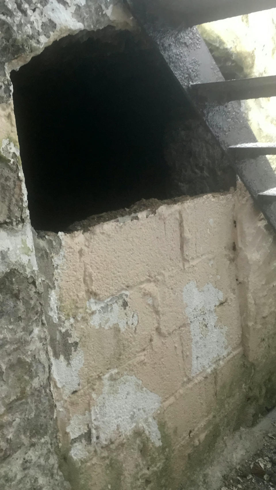 A man found a tunnel behind a wall of his house (SWNS)