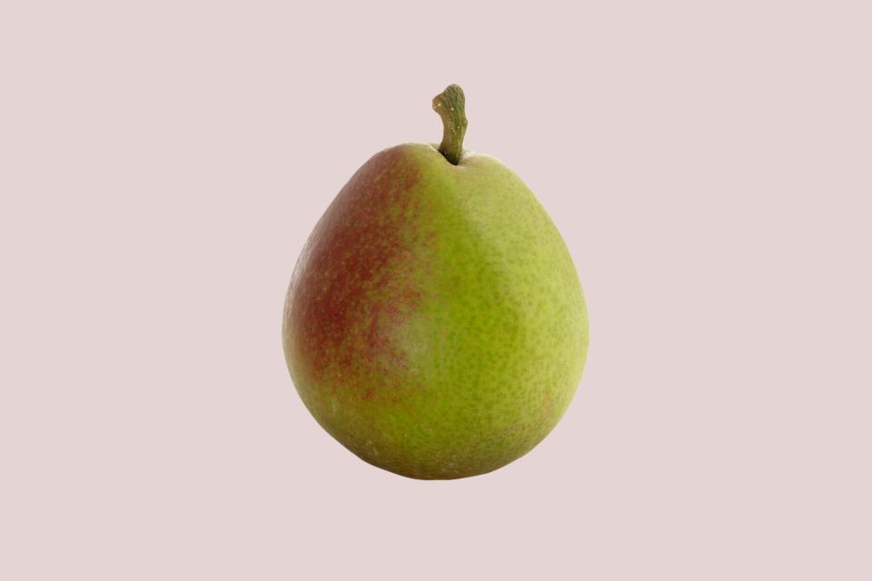 Seckel pear on pink background