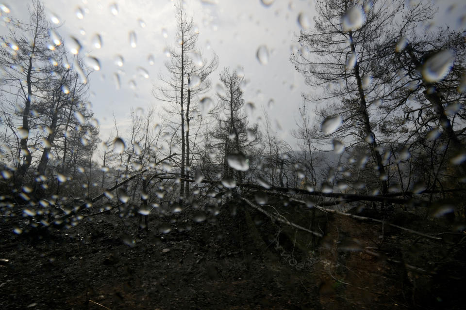 Burnt trees seen through the window of car with drops from rain near village Milies on Evia island, about 181 kilometers (113 miles) north of Athens, Greece, Thursday, Aug. 12, 2021. Greek Prime Minister Kyriakos Mitsotakis says the devastating wildfires that burned across the country for more than a week amount to the greatest ecological catastrophe Greece has seen in decades. (AP Photo/Petros Karadjias)