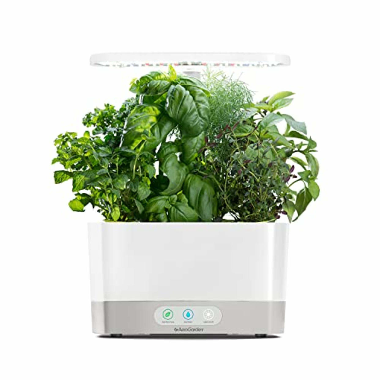 AeroGarden Harvest with Gourmet Herb Seed Pod Kit - Hydroponic Indoor Garden, White (AMAZON)