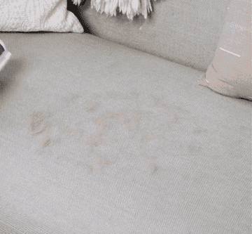 Person using the roller to remove pet hair covering a section of a gray sofa and popping the roller open to show the hair collected inside