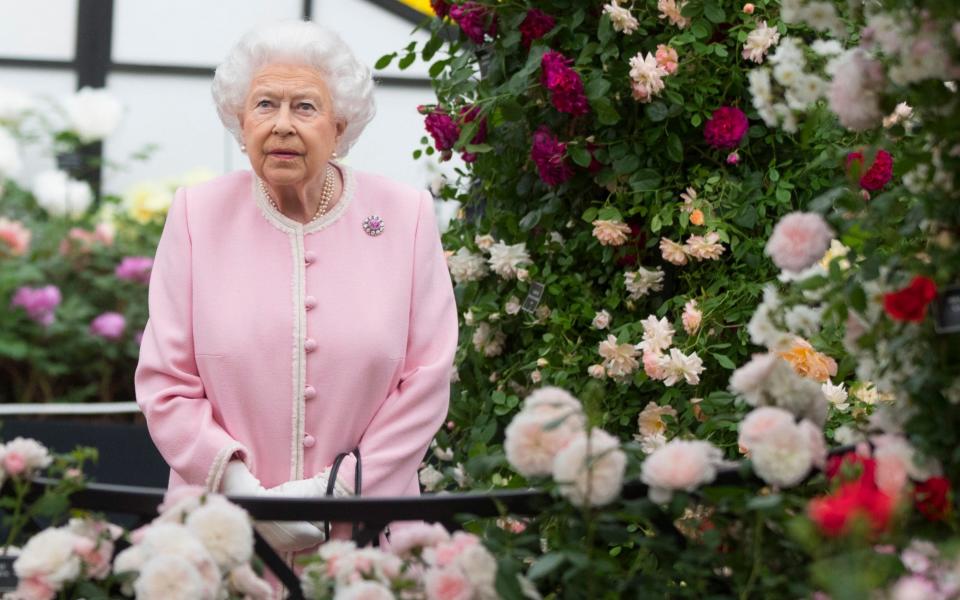 Queen Elizabeth II looking at a display of roses the Chelsea Flower Show, which was broadcast online in 2020 - Richard Pohle/The Times/PA Wire