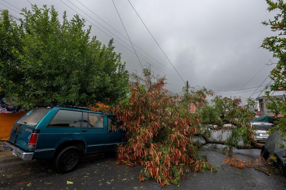 Un árbol cae sobre un auto en la municipalidad de Santa Catarina, Nuevo León. 