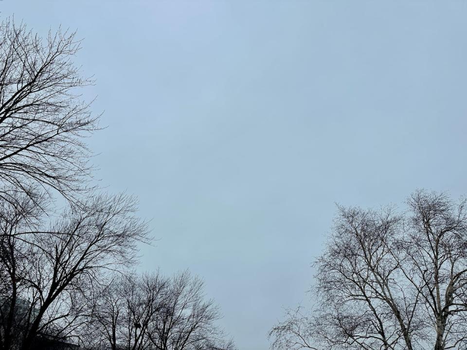 An overcast day in Windsor on Jan. 23, 2024.