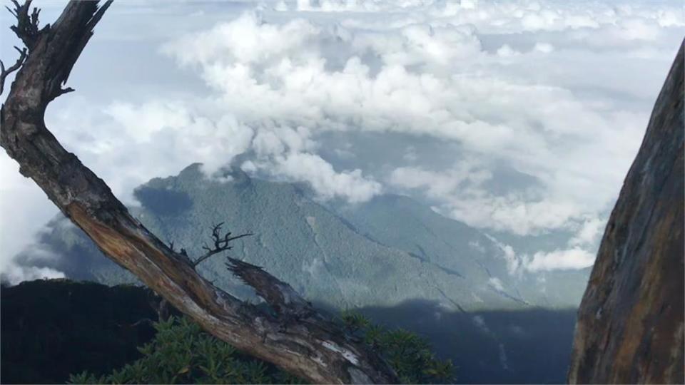 七大森林場域關閉 阿里山小火車全額退費