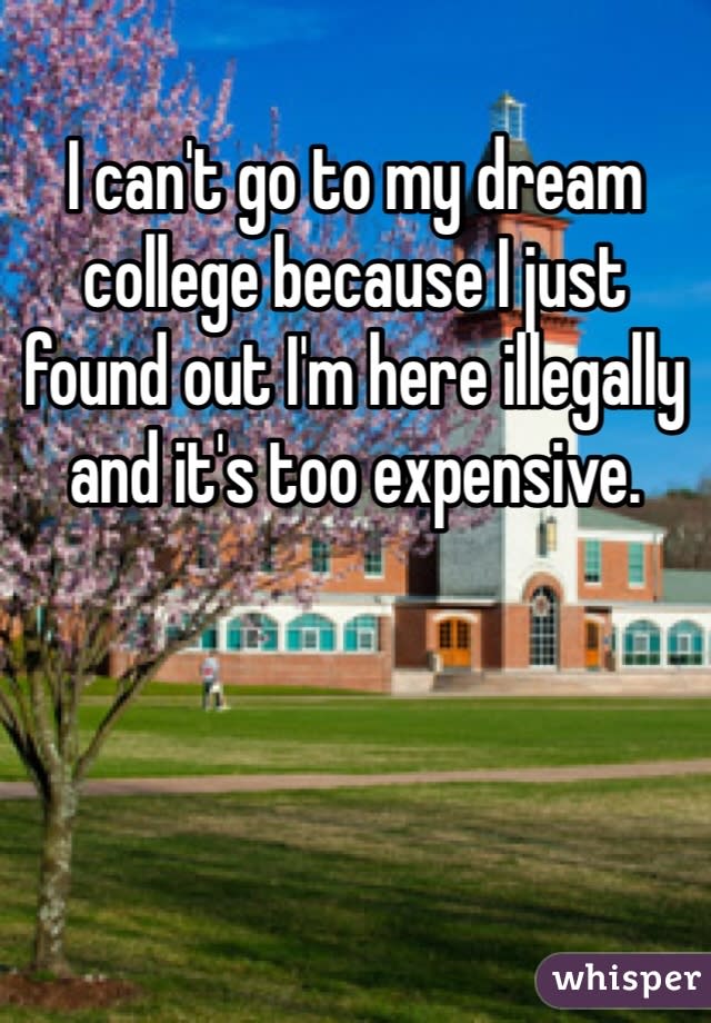 I can't go to my dream college because I just found out I'm here illegally and it's too expensive.