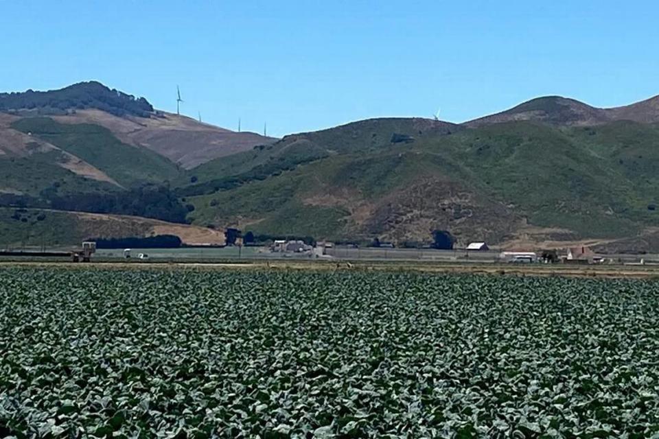 Across acres of farm fields, wind turbine generators can be seen on the ridge southwest of Lompoc. The Strauss Wind Energy Project will generate electricity for 40,000 homes.