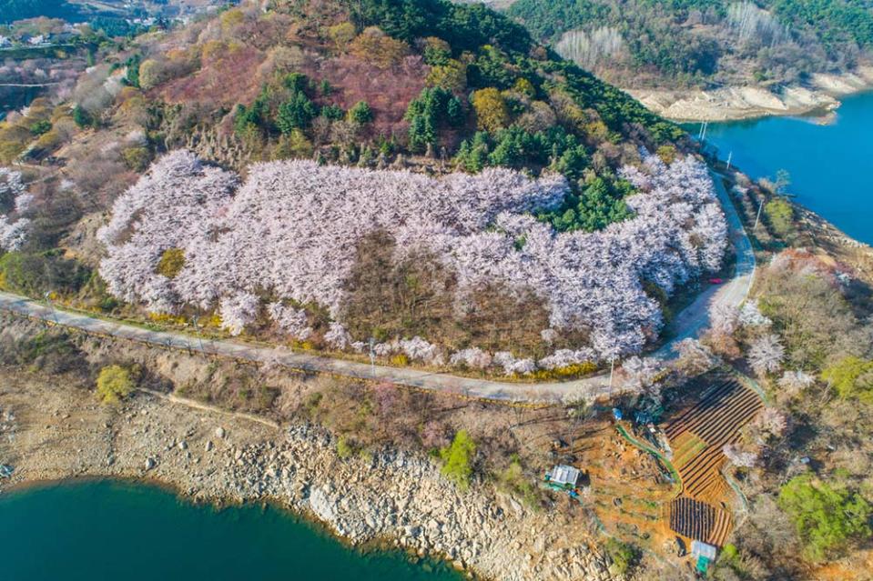 清風湖（Photo by Live Studio, 韓國觀光公社提供）