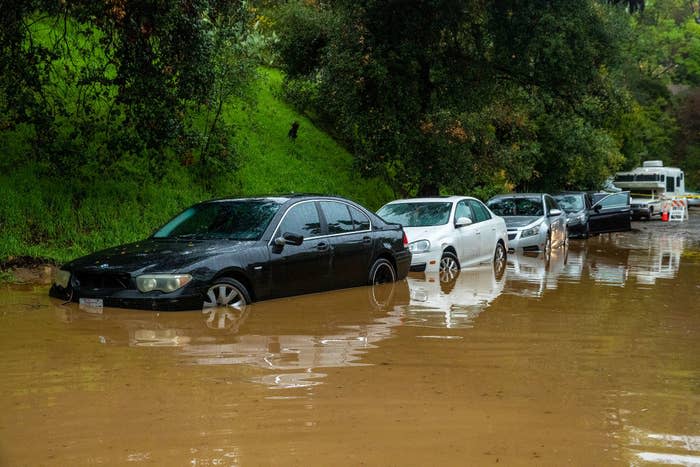 A line of parked cars by a hillside in Studio City, Los Angeles, with muddy water up to the door level