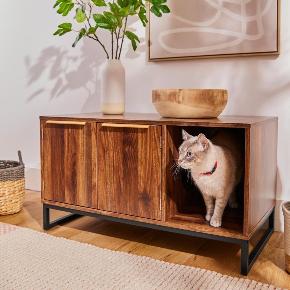 Cat exiting an enclosed litter box inside a wood console