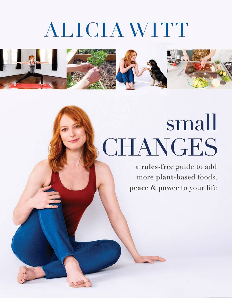 Alicia Witt, Small Changes Book