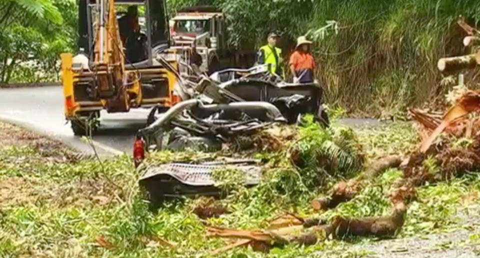 Ms Machen was travelling along Gillies Range Road southwest of Cairns when the tree fell on the car. Her partner James Lude was also inside. Source: 7 News