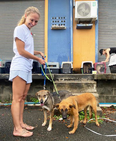 <p>Flew The Coop</p> Rescue dogs preparing for charity flight in Antigua