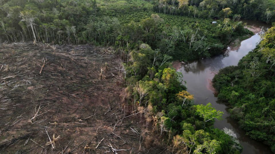 A deforestated area near the limit of the Cordillera Azul National Park, in Peru's Amazon. - Martin Mejia/AP