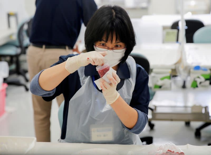 A laboratory technician puts chopped beef from cattle bred in Fukushima into a plastic container while preparing it for cesium testing in Koriyama, Japan